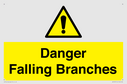 danger-falling-branches~